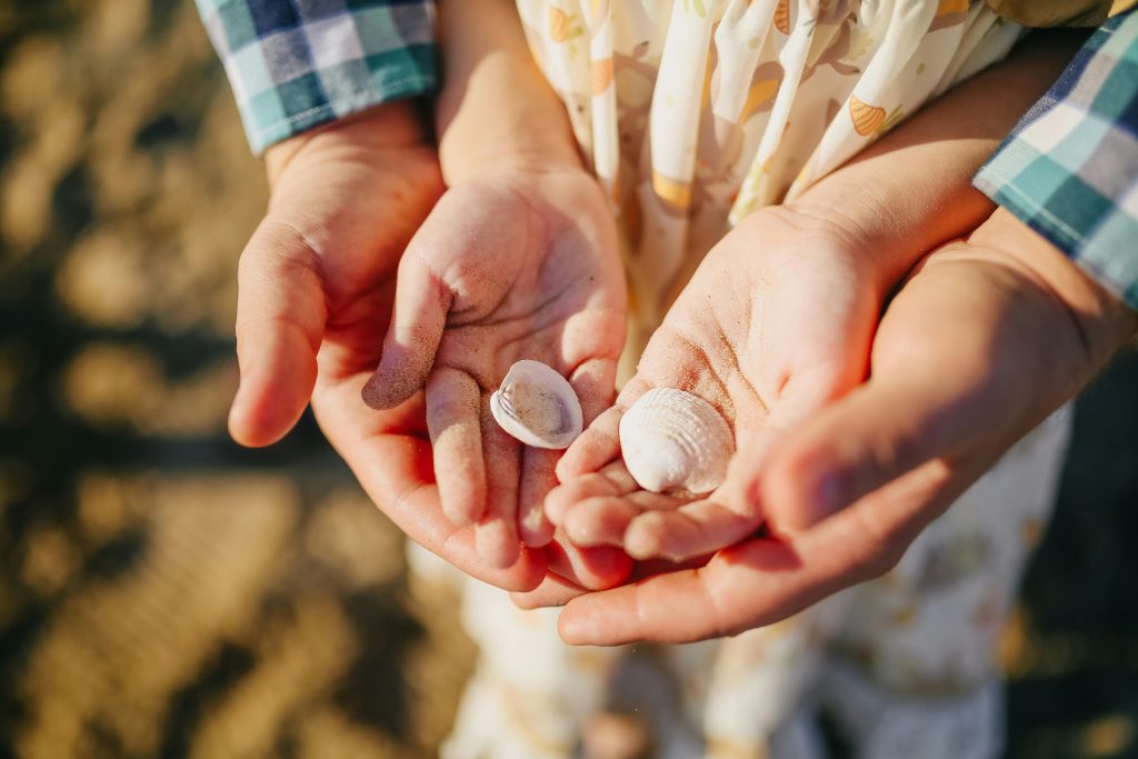 Close-up of father and child hands holding seashells, enjoying a sunny day at the beach.